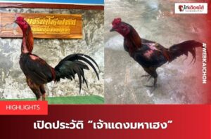 ซุ้มเพชรนำโชค