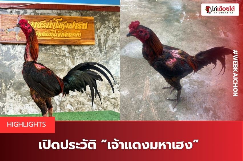 ซุ้มเพชรนำโชค