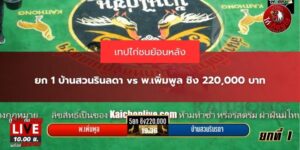 เทปไก่ชนย้อนหลัง ล่าสุด
