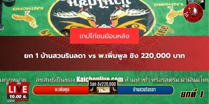 เทปไก่ชนย้อนหลัง ล่าสุด
