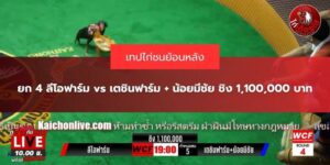 ไก่ชนย้อนหลังวันนี้