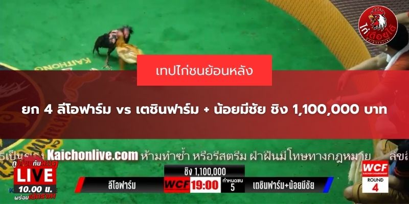 ไก่ชนย้อนหลังวันนี้