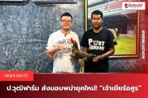 ป.วุฒิฟาร์ม