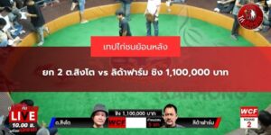 ลิด้าฟาร์ม