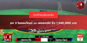 คลิป ไก่ชนย้อนหลัง