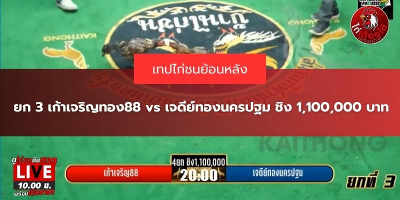 ถ่ายทอดสดไก่ชนวันนี้