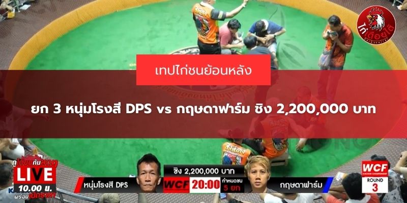 ไก่ชน ย้อนหลัง