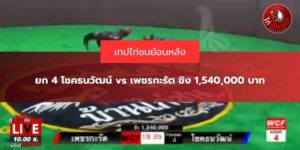 ไก่ชน ออนไลน์