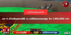 แทงไก่ชนออนไลน์
