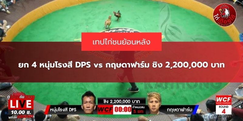 ข่าวสารไก่ชนวันนี้