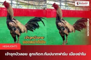 ก.กัมปนาทฟาร์ม เมืองย่าโม