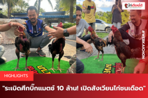 ระเบิดศึกบิ๊กแมตช์ 10 ล้าน! เปิดสังเวียนไก่ชนเดือด.