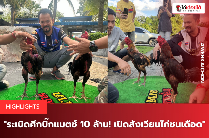 ระเบิดศึกบิ๊กแมตช์ 10 ล้าน! เปิดสังเวียนไก่ชนเดือด.