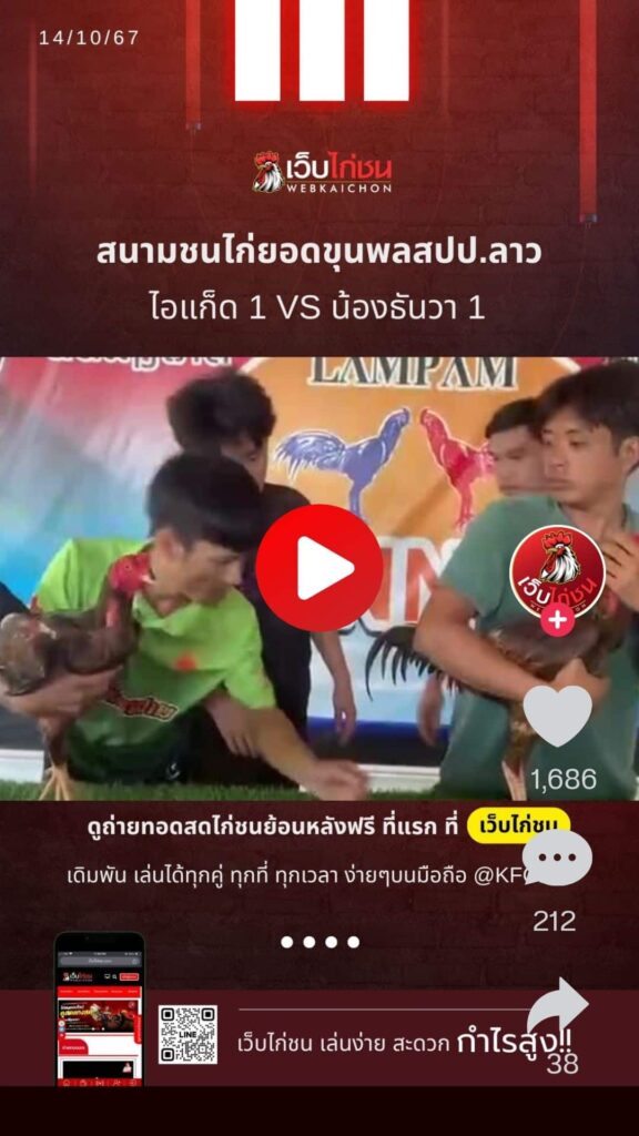 สนามชนไก่ยอดขุนพล