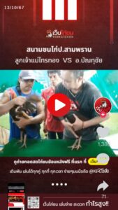 สนามชนไก่ป.สามพราน