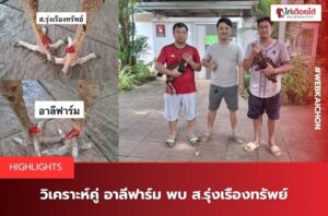อาลีฟาร์มค่ายชูชูรัน