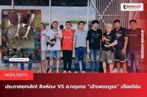 เจ้าเพชรภูธร เดือยโค่น