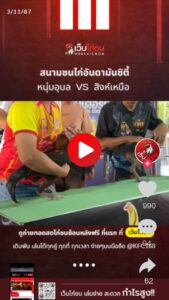 สนามชนไก่อันดามันซิตี้