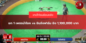 ยก 1 เพชรนำโชค vs ชินจังฟาร์ม ชิง 1,100,000 บาท