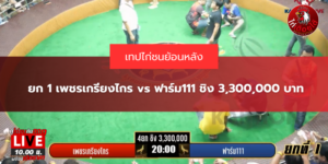 ยก 1 เพชรเกรียงไกร vs ฟาร์ม111 ชิง 3,300,000 บาท
