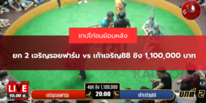 ยก 2 เจริญรอยฟาร์ม vs เก้าเจริญ88 ชิง 1,100,000 บาท