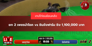 ยก 2 เพชรนำโชค vs ชินจังฟาร์ม ชิง 1,100,000 บาท
