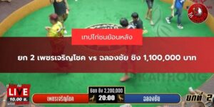 คลิปไก่ชนย้อนหลัง