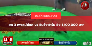 ยก 3 เพชรนำโชค vs ชินจังฟาร์ม ชิง 1,100,000 บาท