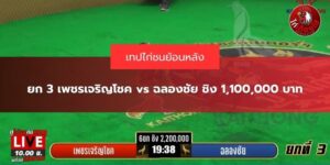 ไก่ชนสดวันนี้