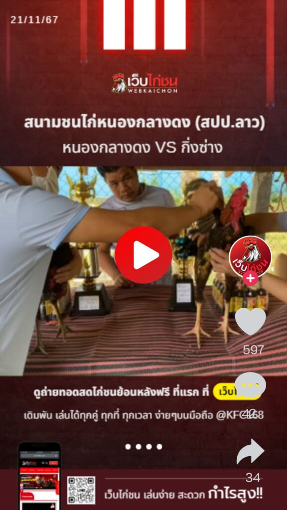สนามชนไก่หนองกลางดง