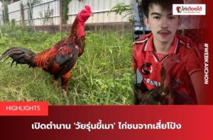 วัยรุ่นขี้เมาไก่ชนเสี่ยโป้ง