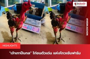 เจ้าเทาปืนกลโกวเซ้มฟาร์ม