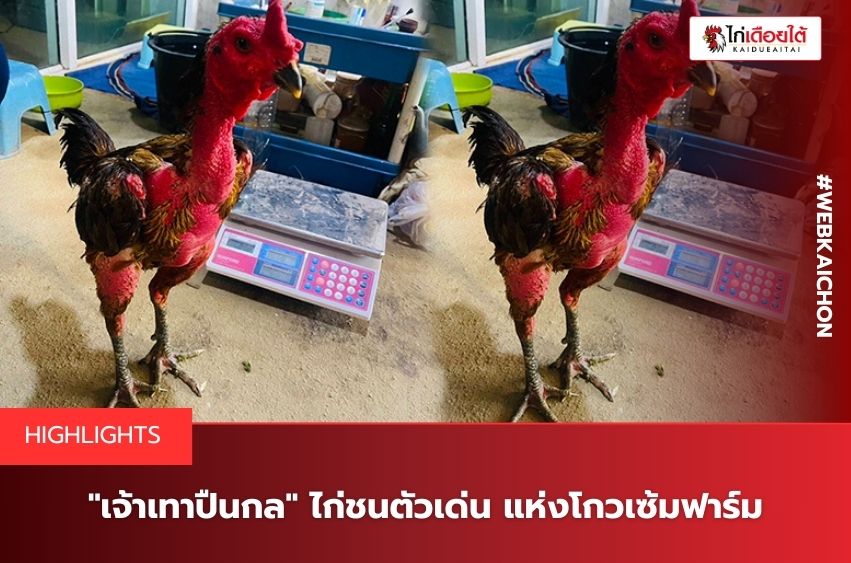 เจ้าเทาปืนกลโกวเซ้มฟาร์ม