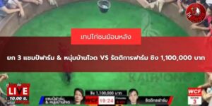 ไก่ชนย้อนหลังหนุ่มบ้านโจด
