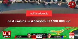 ข่าวไก่ชนวันนี้