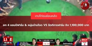 คลิปย้อนหลังไก่ชน