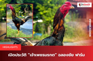 เปิดประวัติ “เจ้าเพชรมรกต” ฉลองชัย ฟาร์ม.