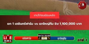 เตชินทร์ฟาร์ม