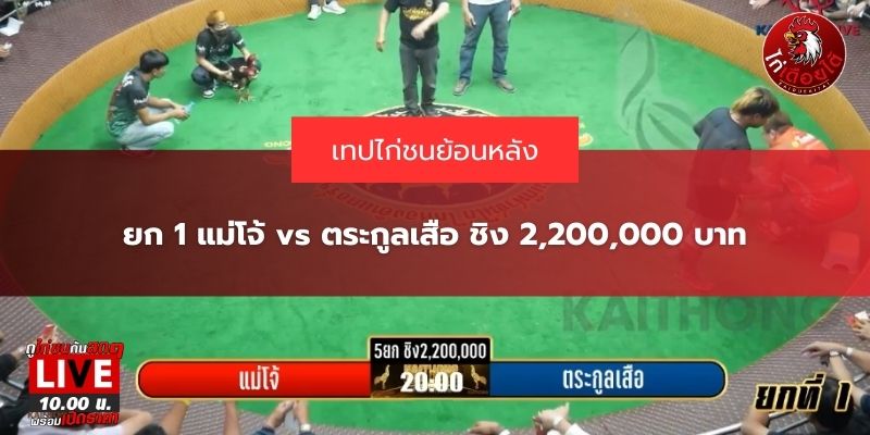 แม่โจ้ vs ตระกูลเสือ