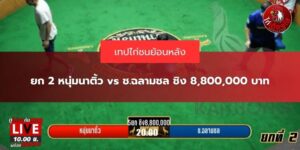 ช.ฉลามชล