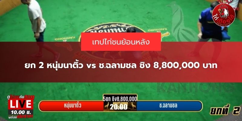 ช.ฉลามชล
