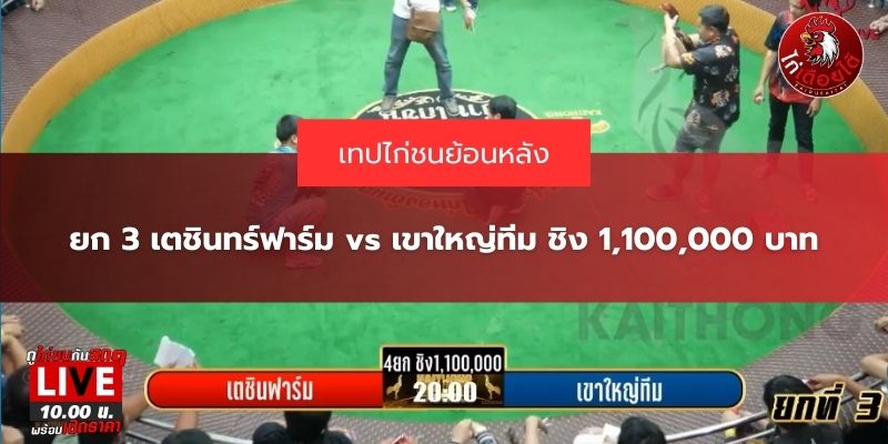 ไก่ชนย้อนหลัง67