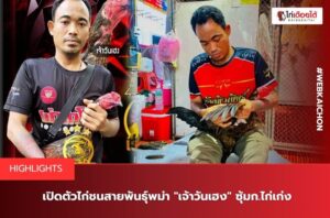 เจ้าวันเฮงซุ้มก.ไก่เก่ง