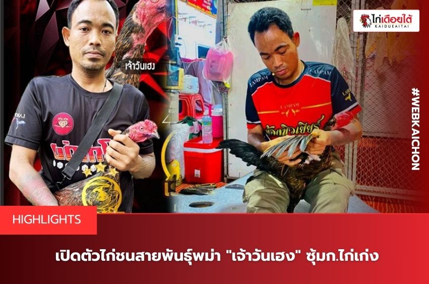 เจ้าวันเฮงซุ้มก.ไก่เก่ง