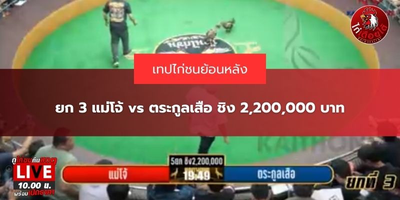 ไก่ชนสดล่าสุด