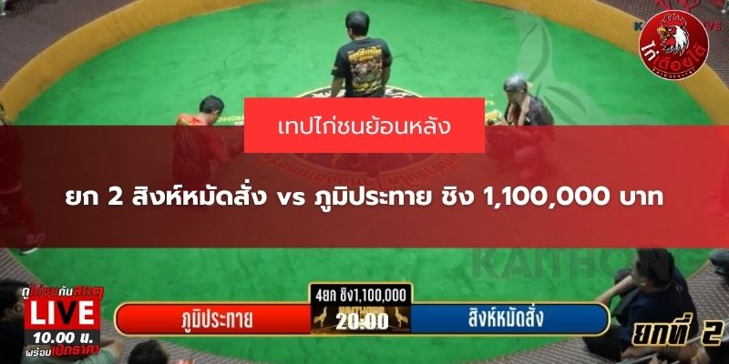 ข่าวสารไก่ชน