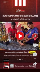 สนามชนไก่PNMดอนหนูน888