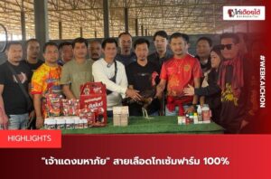 สายเลือดโกเซ้มฟาร์ม
