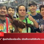 เจ้าแสนสุข พบ เจ้าแดงไบเล่