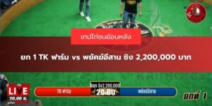 TK ฟาร์ม